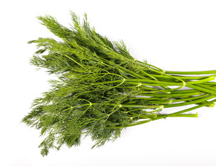 Sprigs of dill on white background.
