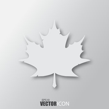 Maple leaf icon in white style with shadow isolated on grey background.