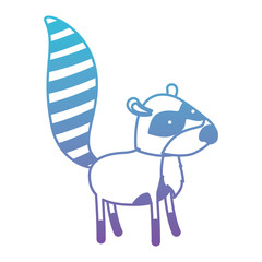 raccoon cartoon in degraded blue to purple color contour vector illustration