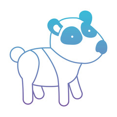 panda cartoon in degraded blue to purple color contour vector illustration