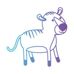 tiger cartoon in degraded blue to purple color contour vector illustration