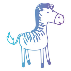 zebra cartoon in degraded blue to purple color contour vector illustration