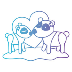 pandas couple over grass in degraded blue to purple color contour with heart in background vector illustration