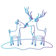 deer couple over grass in degraded blue to purple color contour vector illustration