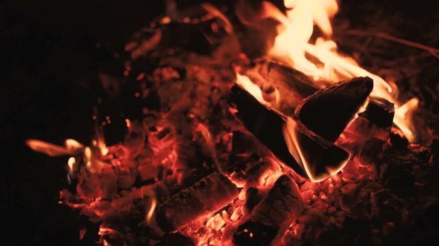Close up of blazing campfire. 4K