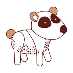 pandas cartoon in color sections silhouette vector illustration