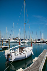Fototapeta na wymiar Yachts in the port waiting. Rimini, Italy.