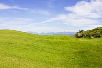 Obraz premium Golf course in Belek. Green grass on the field. Blue sky, sunny day