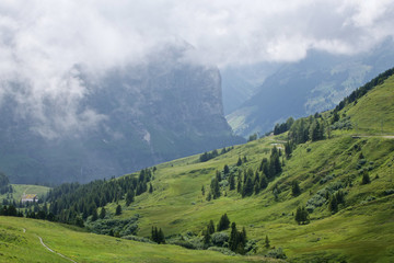 Fototapeta premium Swiss alps
