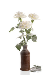 Vase Of Christmas Roses