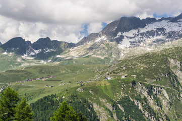 Fototapety na wymiar - Fototapeta24.pl