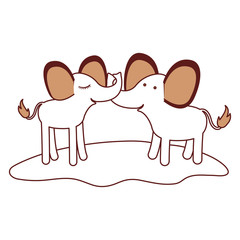 elephants couple over grass in color sections silhouette vector illustration