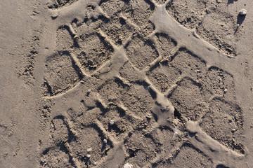 4x4 tiretracks in the sand