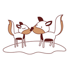 wolves couple over grass in color sections silhouette vector illustration