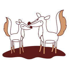 fox couple over grass in color sections silhouette vector illustration