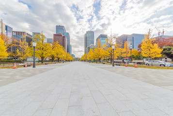 都会を彩る紅葉の木々