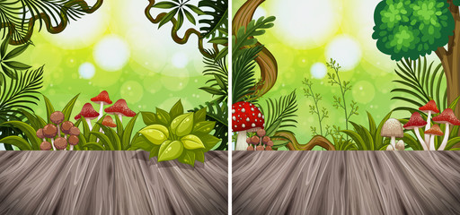 Two background scenes with woodend board and garden