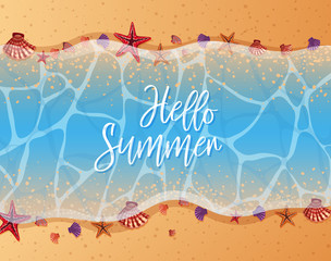 Summer theme with starfish and shells on the beach