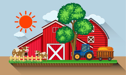 Farmyard with cows and blue tractor