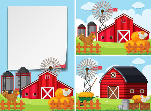 Three scenes with barns and chickens