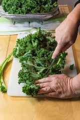 Hands wielding a knife cutting the spines from kale leaves, vertical aspect
