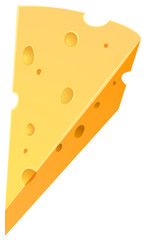 Cheese on white background