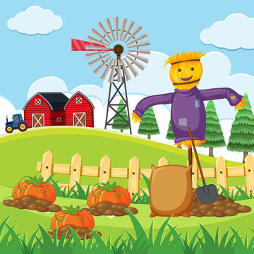 Farm scene with pumpkin patch