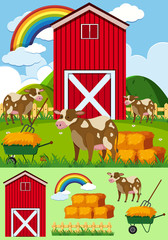Obraz na płótnie Canvas Cows and red barn in the farmyard