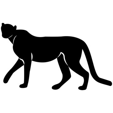 Vector image of leopard silhouette