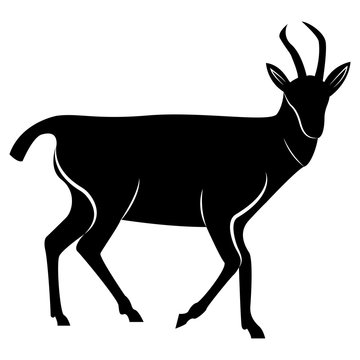 Vector image of silhouette of the gazelle animal