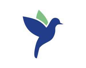 Bird technology