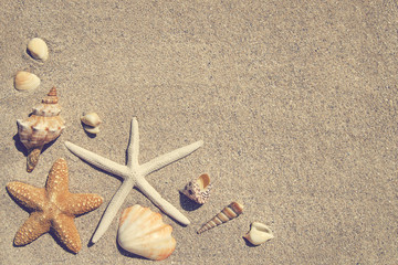 Fototapeta na wymiar Summer background with seashells on sand
