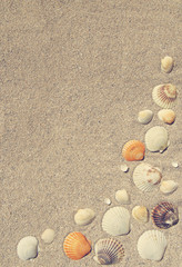 Fototapeta na wymiar Summer background with seashells on sand