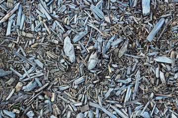 Background black and white wooden chips texture