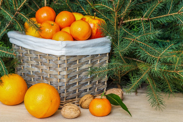A full basket of ripe fruits. Mandarins, oranges, apples, lemons, walnuts against the backdrop of branches from a Christmas tree.