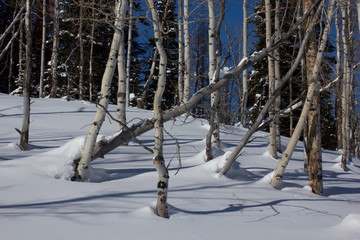 Snow days in the mountains