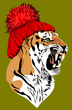  tiger, in a knitted red hat with a pompon