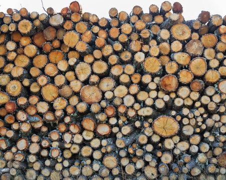  Le&ntilde;a de roble troceada, cortada y amontonada o apilada