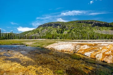 Fototapeta na wymiar Iron Spring Creek in Yellowstone