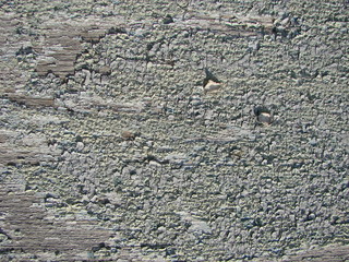 Vintage wood background with peeling paint.