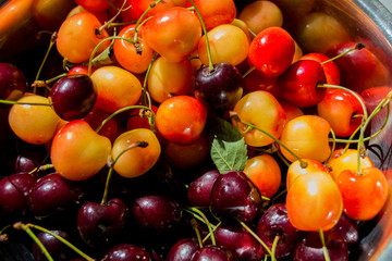 Cherry fruit in bowl