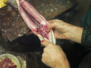 Removing Fish Scale © vectorass