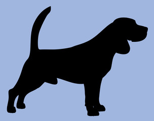 Silhouette of a dog
