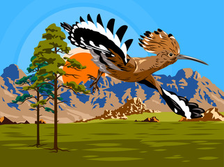 Flying hoopoe in the forest © Marina Andrienko