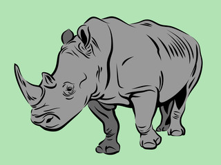Obraz premium Vector image of a rhinoceros