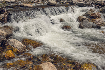 Rapid on a mountain river. Picturesque Rocky Mountains, Colorado