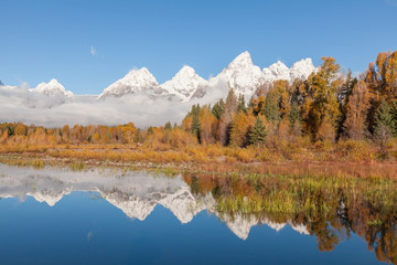 Scenic Autumn Reflection in the Tetons
