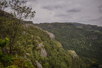 Ausblick über die wälder Norwegens