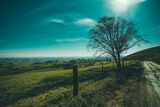the fifty shades of green 