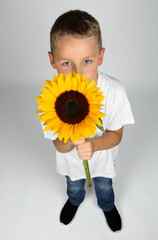 little blond boy is hiding behind a sunflower in his hand in front of a white background © MrsLePew